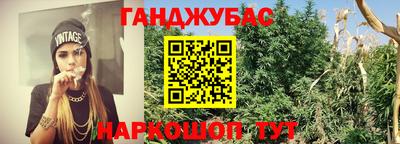 прущие грибы Ставрополь