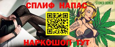 прущие грибы Ставрополь